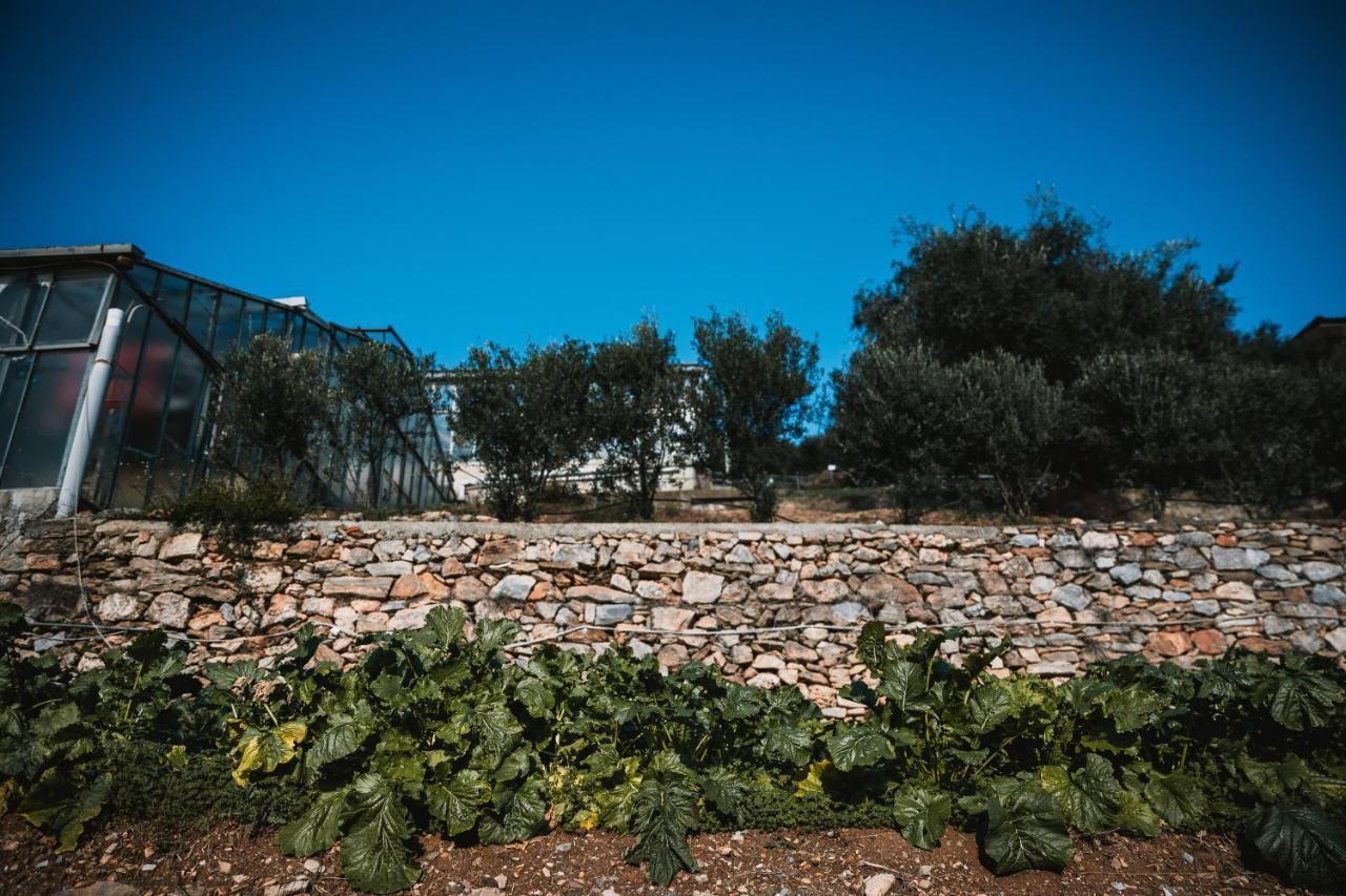 Agriturismo Rose Di Pietra Pietra Ligure Exterior foto