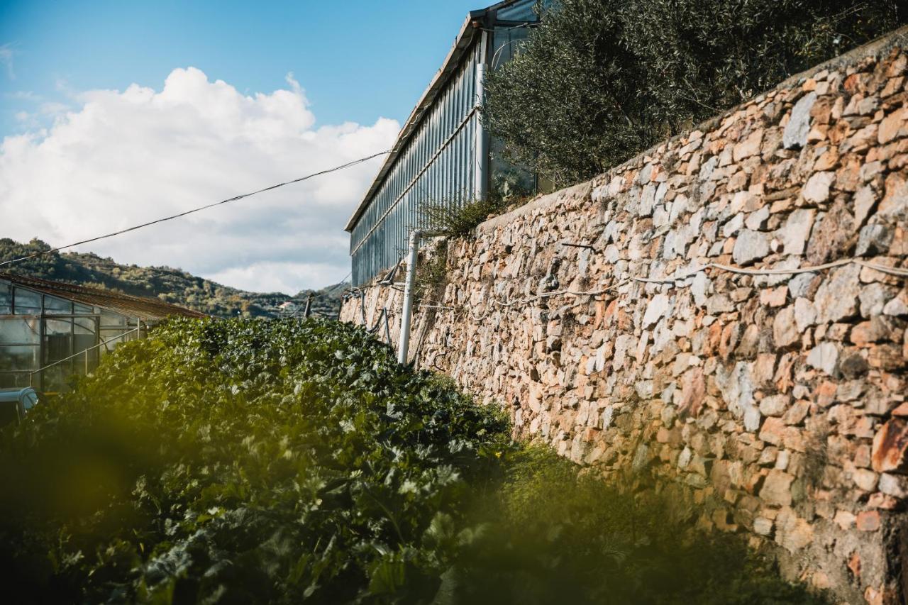 Agriturismo Rose Di Pietra Pietra Ligure Exterior foto